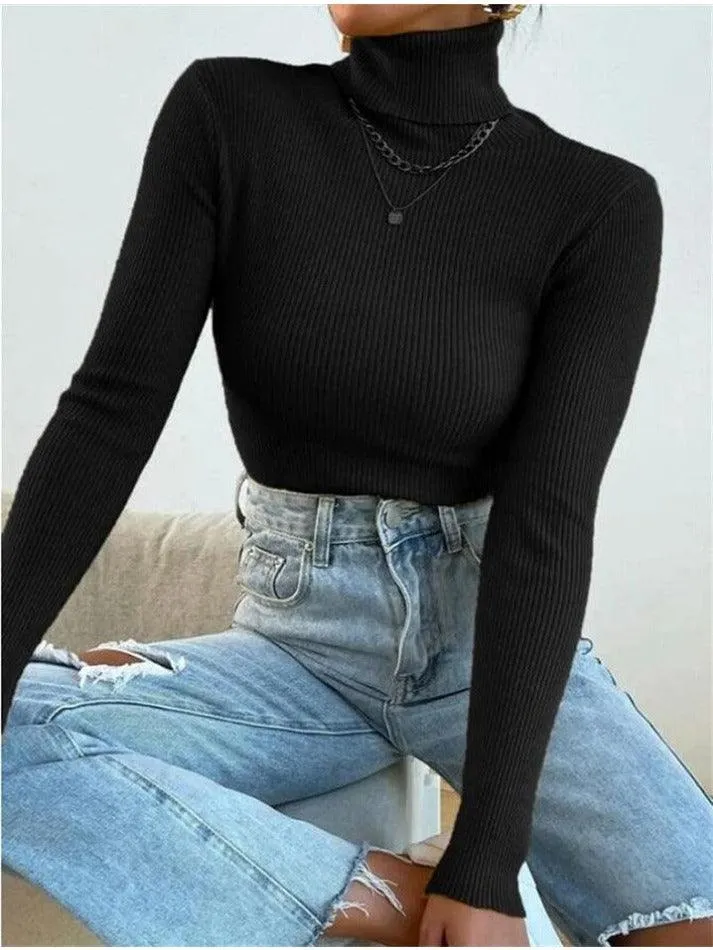 Joskaa Turtleneck Ribbed Knit Sweater