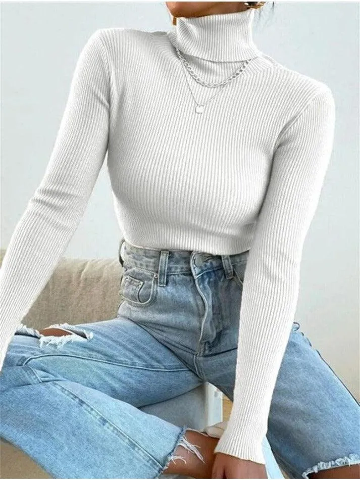 Joskaa Turtleneck Ribbed Knit Sweater