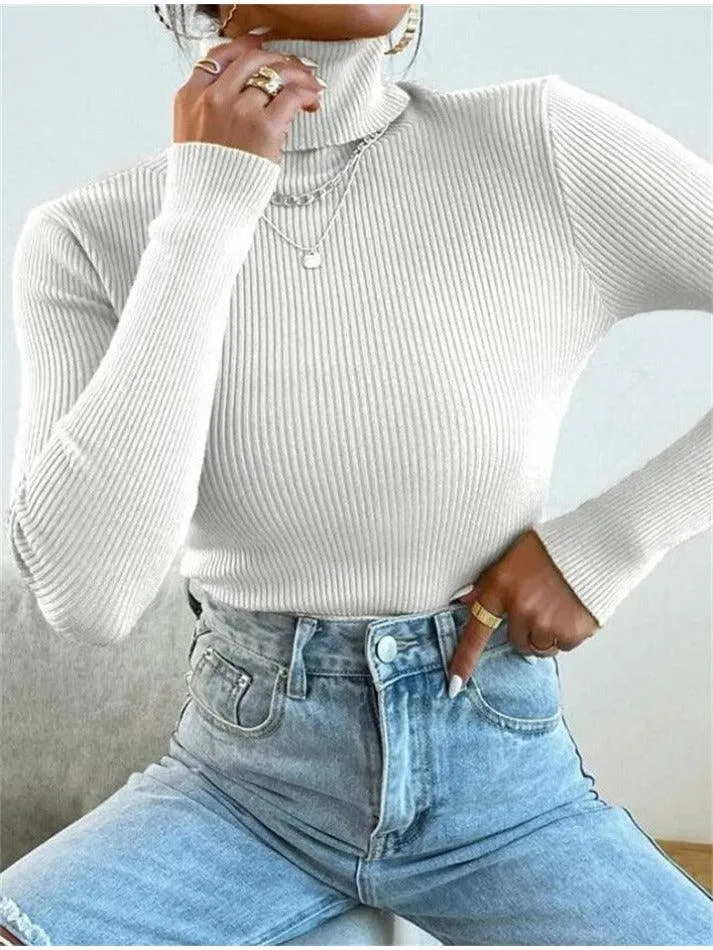 Joskaa Turtleneck Ribbed Knit Sweater