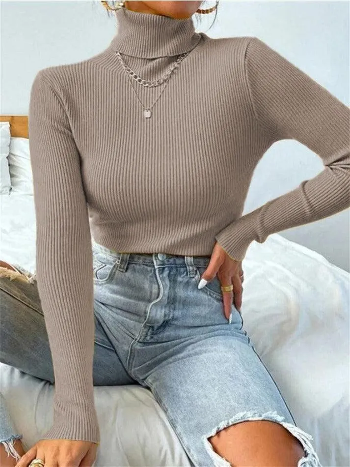 Joskaa Turtleneck Ribbed Knit Sweater