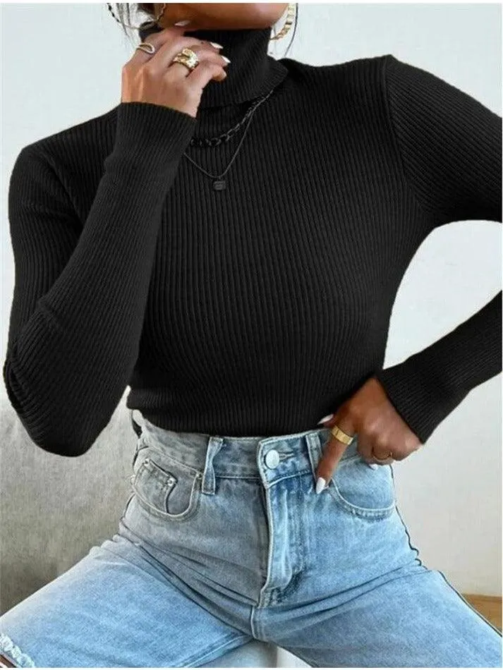 Joskaa Turtleneck Ribbed Knit Sweater